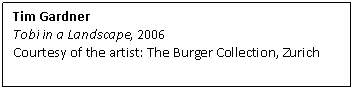 Text Box: Tim Gardner  Tobi in a Landscape, 2006  Courtesy of the artist: The Burger Collection, Zurich      